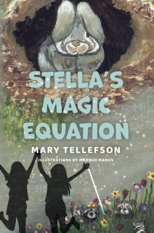Stella's Magic Equation